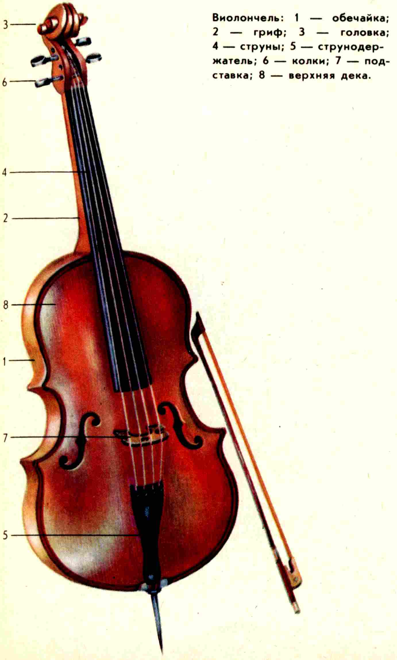 Название скрипичный. Струнные смычковые инструменты Альт. Альт скрипка контрабас виолончель строение. Альт струнные смычковые музыкальные инструменты строение. Смычок виолончели строение.